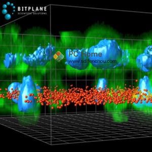 Bitplane Imaris 7.4.2 破解版-PC Home