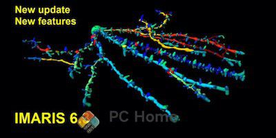 Bitplane Imaris 主界面