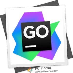 GoLand 2020.2.3 中文破解版-PC Home