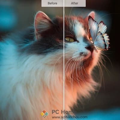 InPixio Photo Focus 主界面