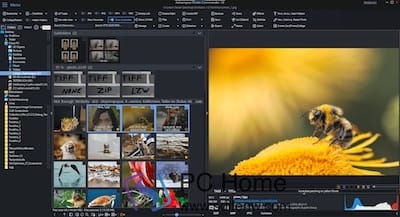 Ashampoo Photo Commander 主界面 Ashampoo Photo Commander 主界面